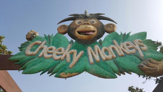 Cheeky Monkeys Playground and Amusement Center